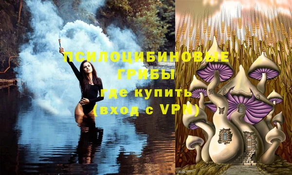 бошки Остров