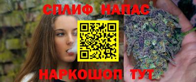 тгк Коммунар