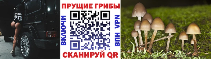 Галлюциногенные грибы MAGIC MUSHROOMS  Саратов 