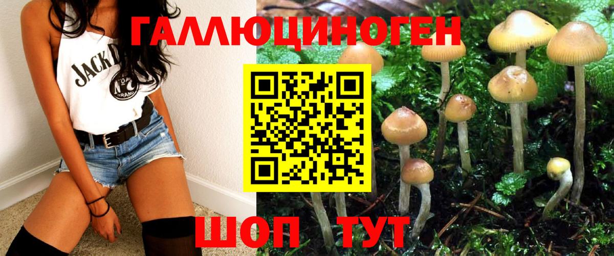 Галлюциногенные грибы мицелий Саратов