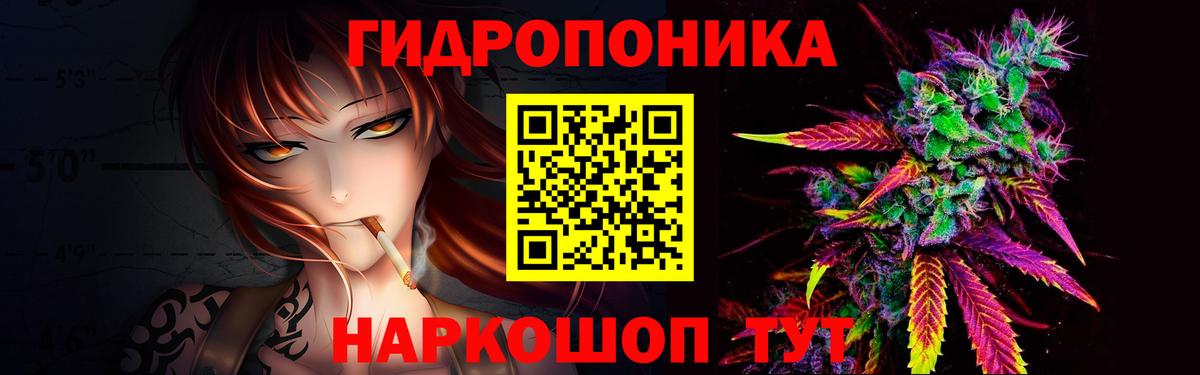 Каннабис гибрид Саратов